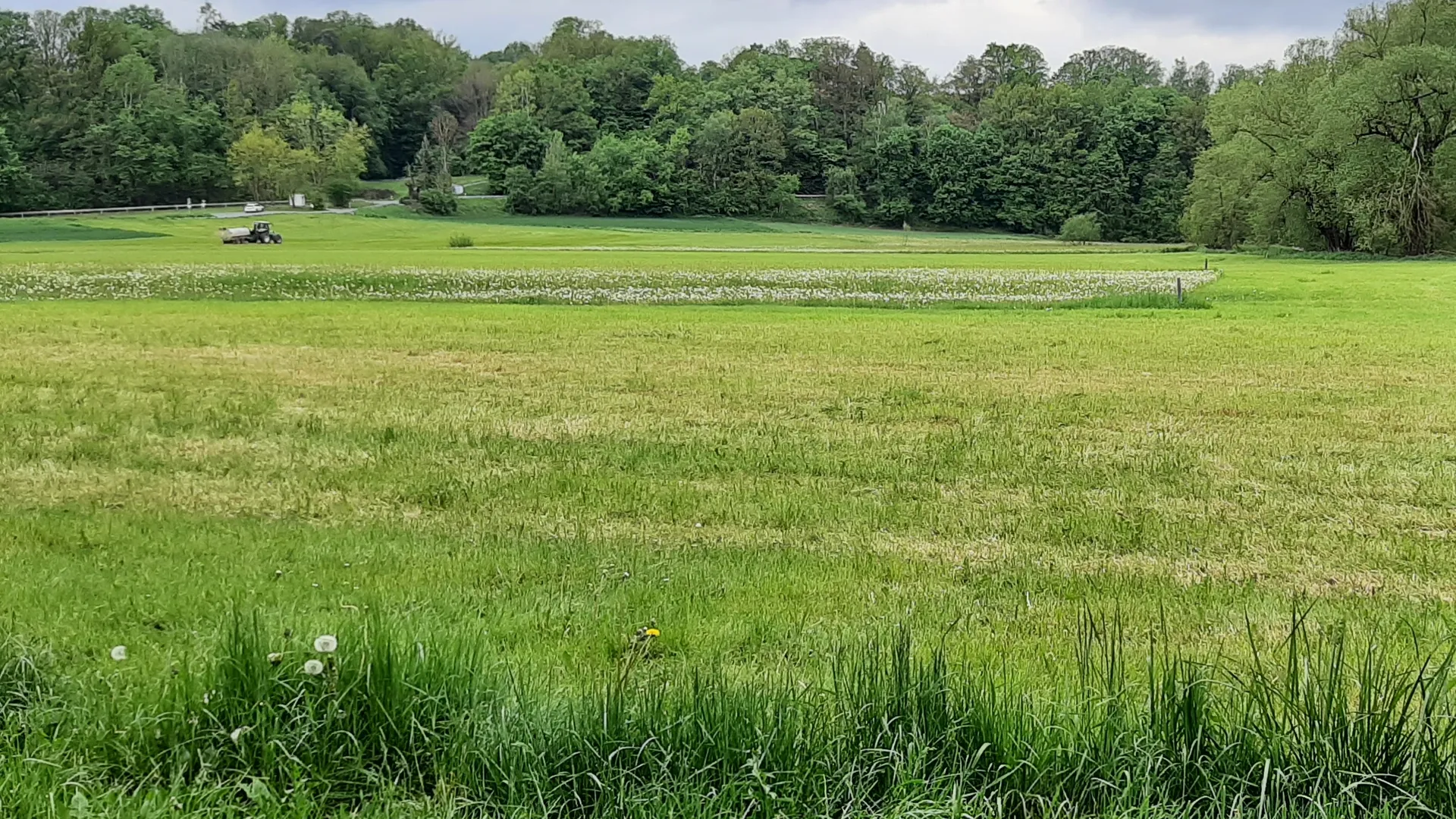 Feldflurlandschaft mit Wiesen und Äckern