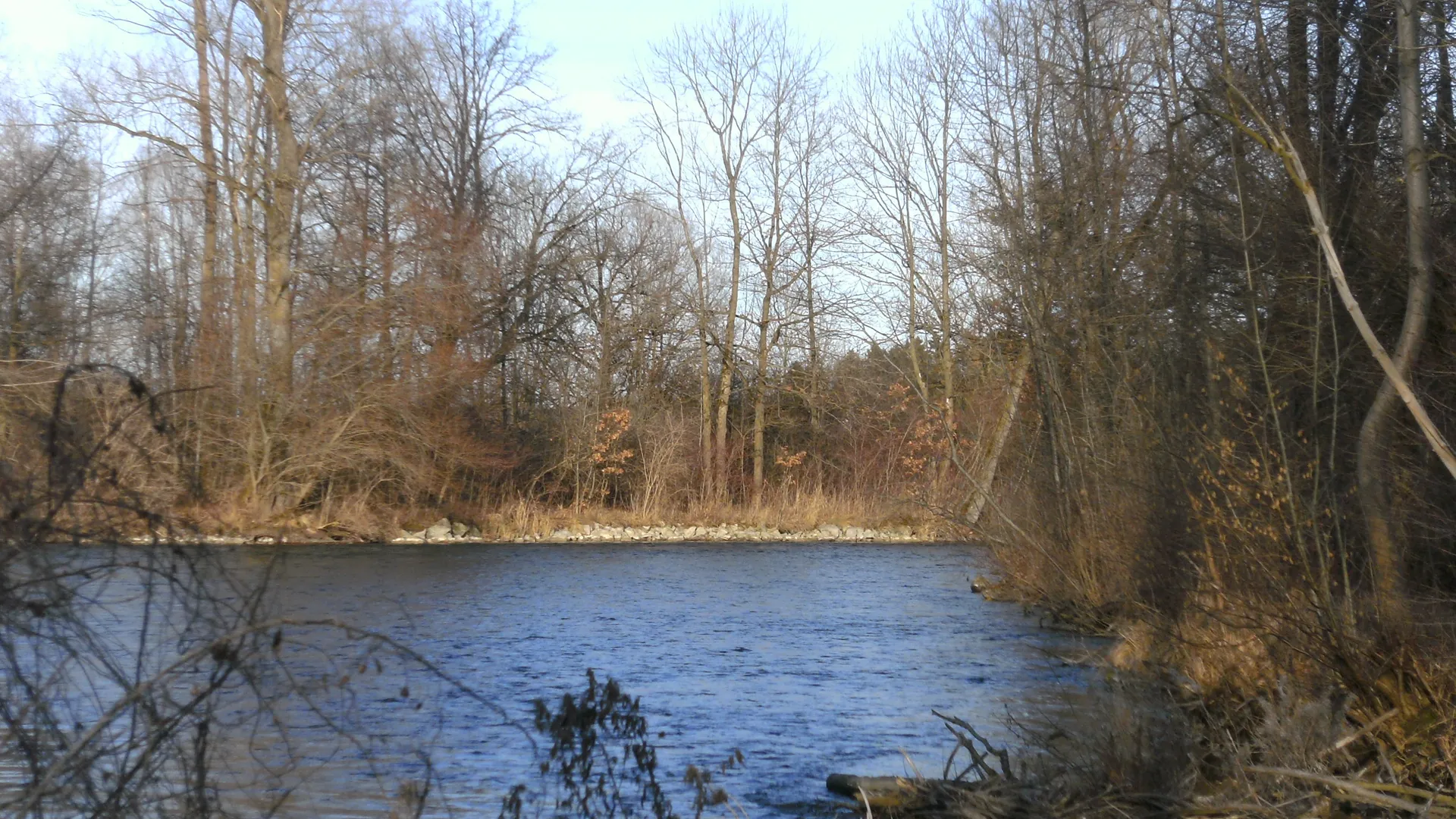 Flusslandschaft mit Ufervegetation